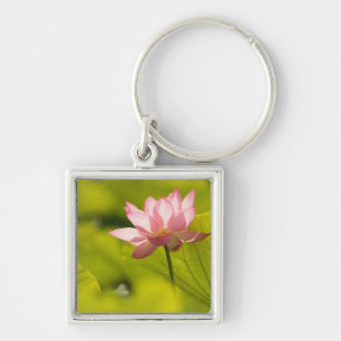 United States, DC, Washington, Kenilworth 2 Keychain