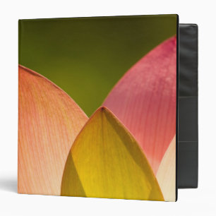 United States, DC, Washington, Kenilworth 3 Binder