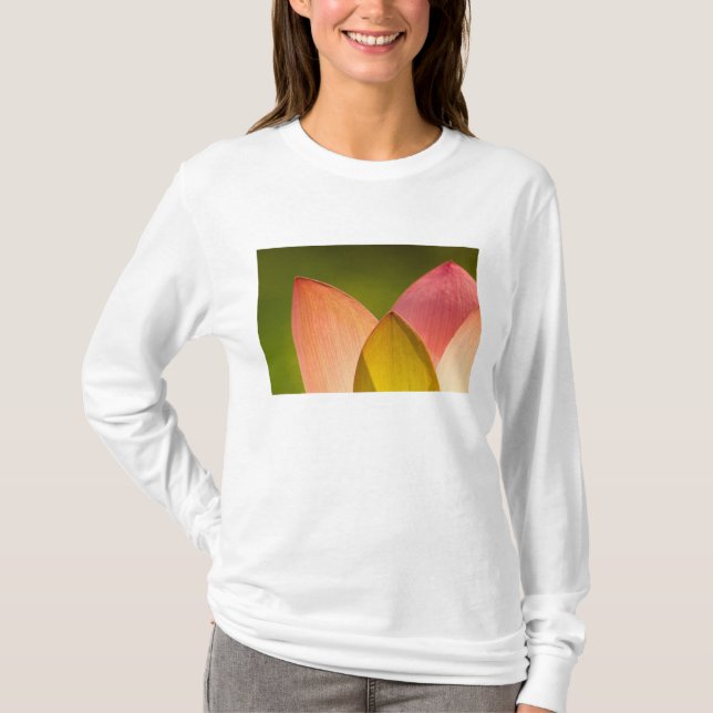 United States, DC, Washington, Kenilworth 3 T-Shirt (Front)