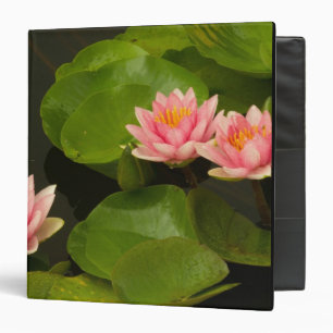 United States, DC, Washington, Kenilworth 4 Binder