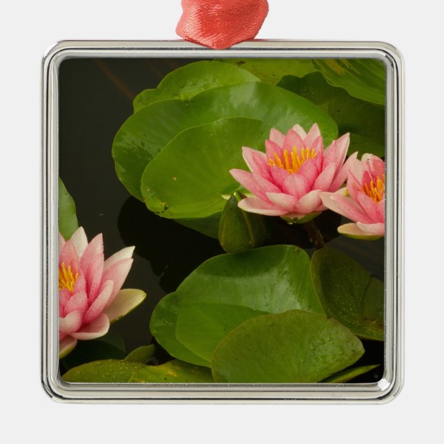 United States, DC, Washington, Kenilworth 4 Metal Ornament (Front)