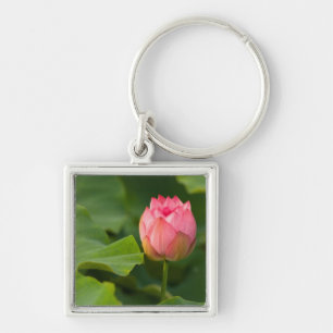 United States, DC, Washington, Kenilworth Keychain