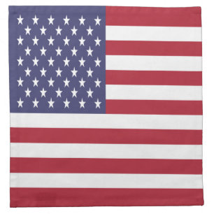 United States Flag Cloth Napkin