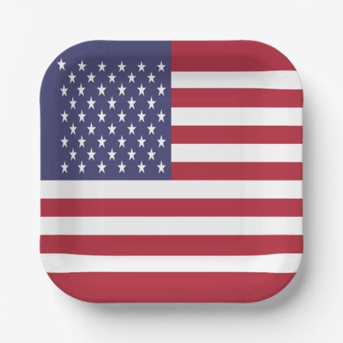 United States Flag Paper Plates