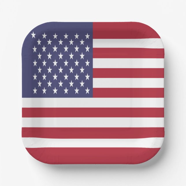 United States Flag Paper Plates (Front)