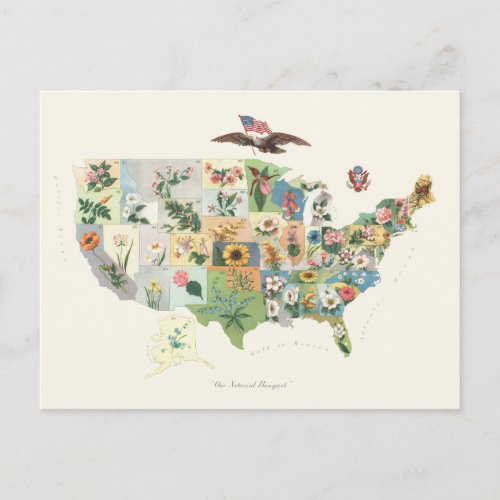 United States Flower Map _ Our National Bouquet Postcard