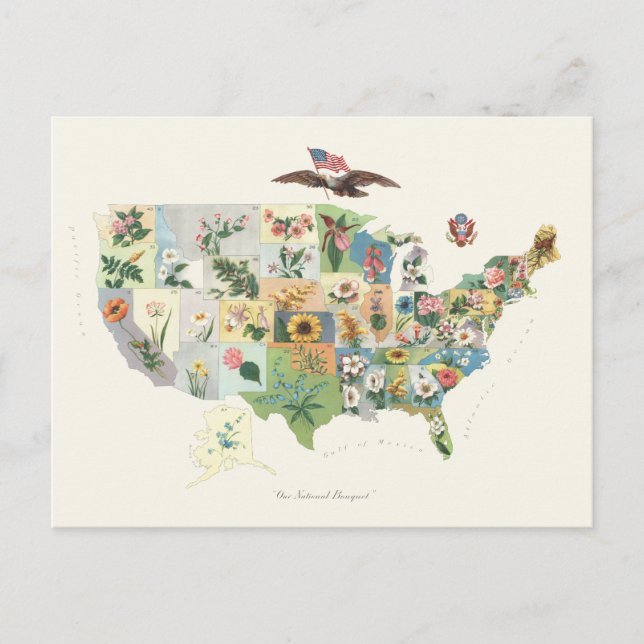 United States Flower Map - Our National Bouquet Postcard (Front)
