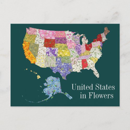 United States in Flowers Postcard