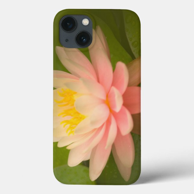 United States, Maryland, Westminster, Union Case-Mate iPhone Case (Back)