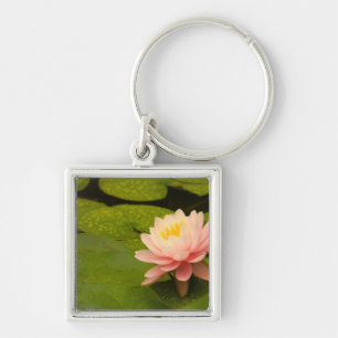 United States, Maryland, Westminster, Union Keychain