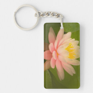 United States, Maryland, Westminster, Union Keychain