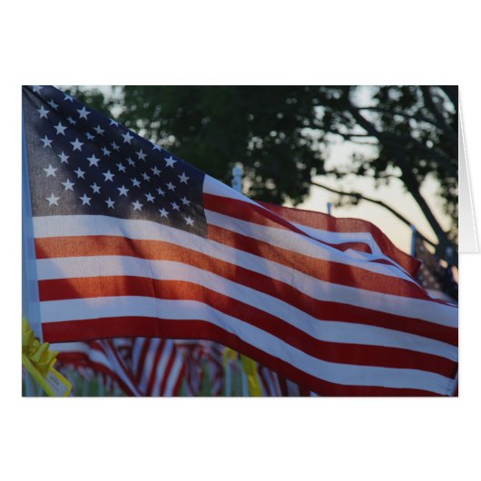 United States Memorial Day Flags, Cemetery Cards (Front Horizontal)
