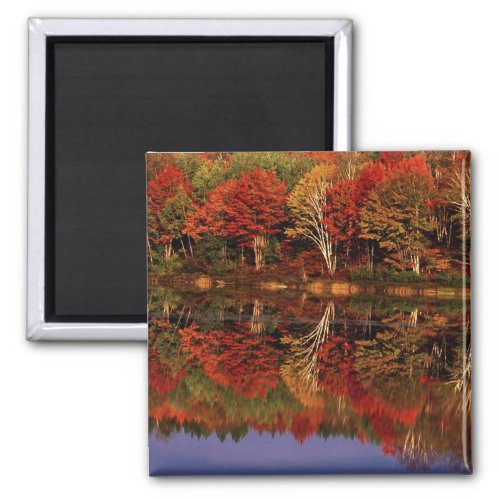 United States Michigan Upper Peninsula Fall Magnet