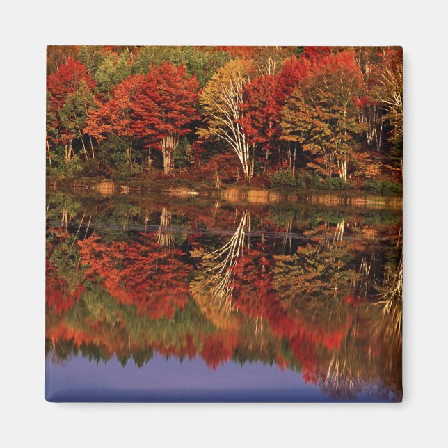 United States, Michigan, Upper Peninsula. Fall Magnet (Front)