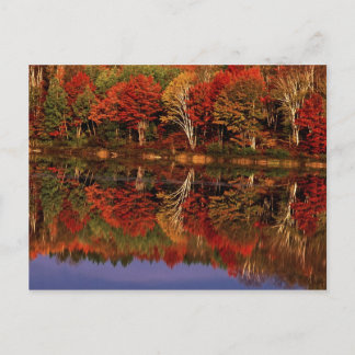 United States, Michigan, Upper Peninsula. Fall Postcard