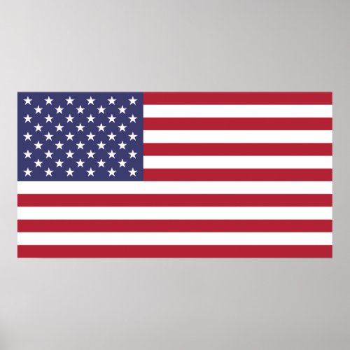 United States National World Flag Poster