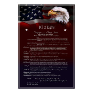 United States of America BILL of Rights Poster