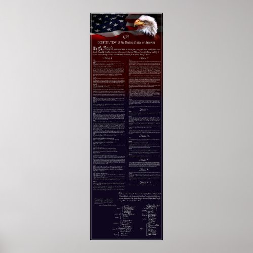 United States of America CONSTITUTION Poster