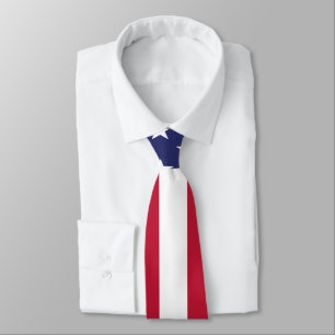 United States of America Flag Neck Tie