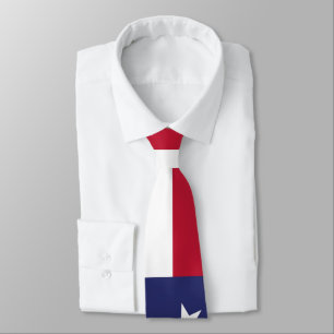 United States of America Flag Neck Tie