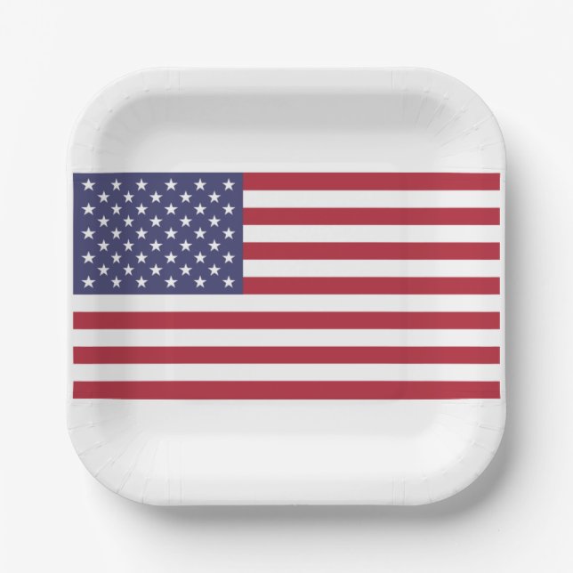 United States of America flag red white and blue Paper Plates (Front)