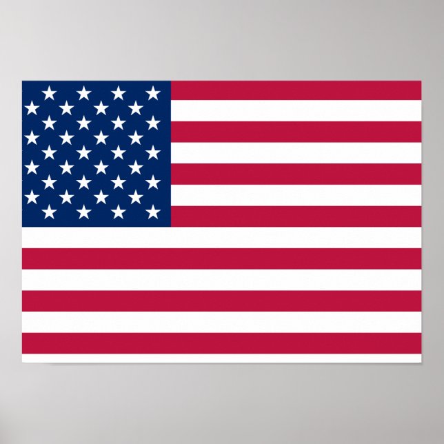 United States of America Poster (Front)