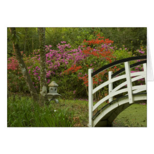 United States; South Carolina; Charleston; 5