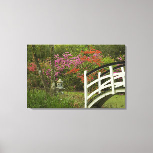 United States; South Carolina; Charleston; 5 Canvas Print