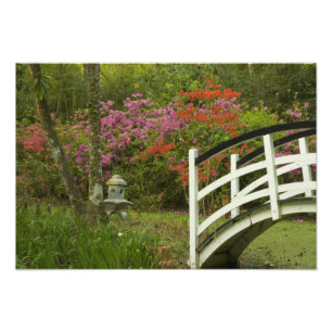 United States; South Carolina; Charleston; 5 Photo Print