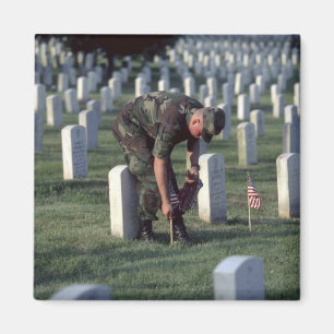 United States, State of Virginia, Arlington. Magnet