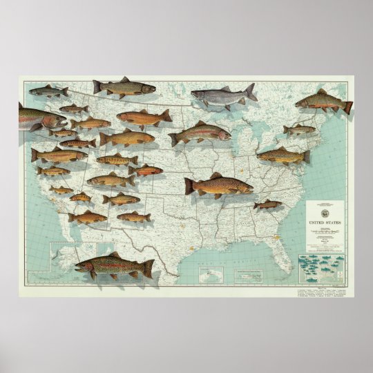 United States Trout Map 1999 - United States Trout Map 1999 Poster R42c602d3c9c74399a60454d0dedb4ea0 8gtjv 8byvr 540 