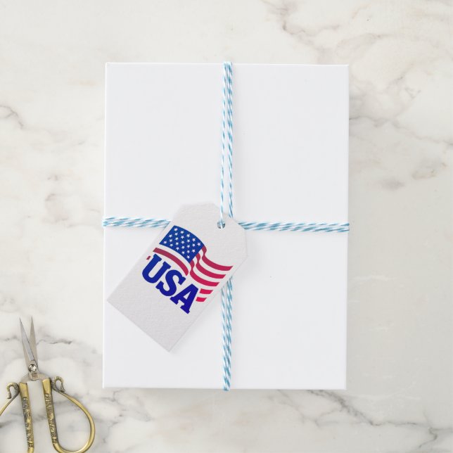 United States Unity Wave Gift Tags (With Twine)