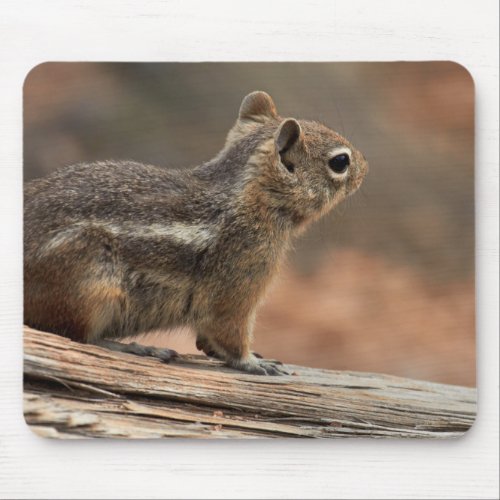 United States Utah Bryce Canyon National Park 1 Mouse Pad