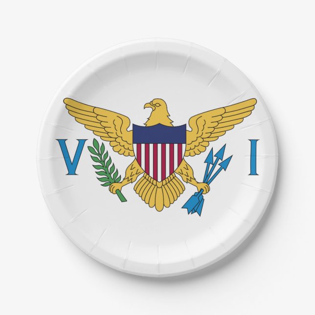 United States Virgin Islands Flag Paper Plates (Front)