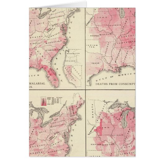 United States vitality maps (Front)