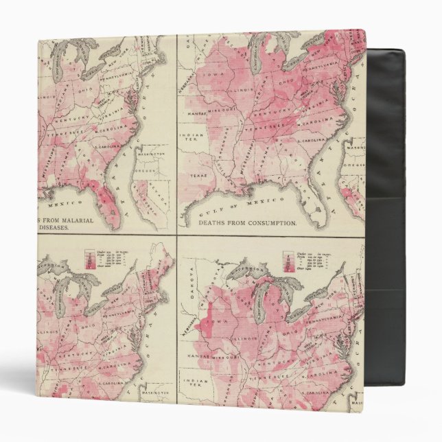 United States vitality maps 3 Ring Binder (Front/Inside)
