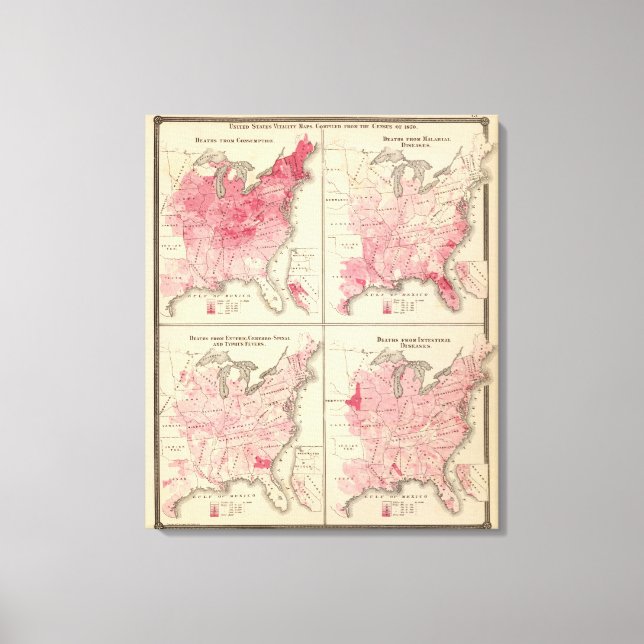 United States vitality maps Canvas Print (Front)