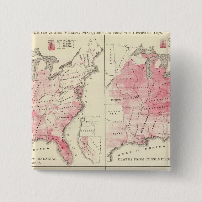 United States vitality maps Pinback Button (Front)