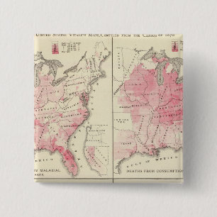 United States vitality maps Pinback Button