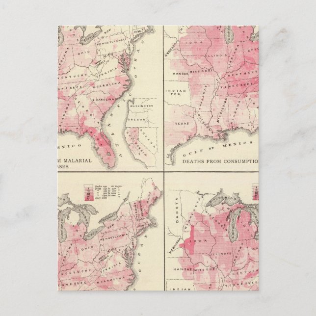 United States vitality maps Postcard (Front)