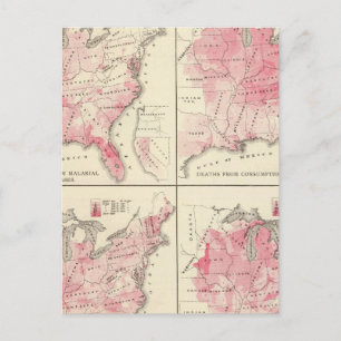 United States vitality maps Postcard