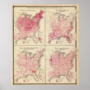 United States vitality maps Poster