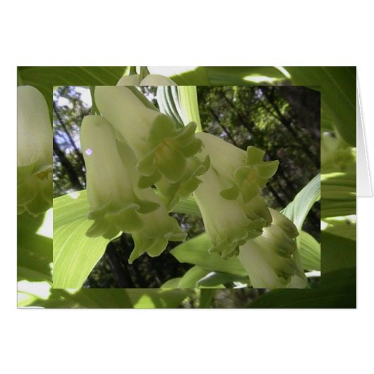 unity in balance (Front Horizontal)