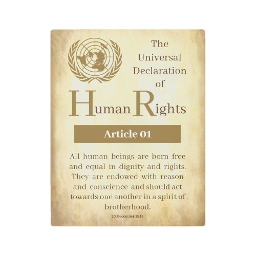 Universal Declaration of Human Rights Article 01 Metal Print