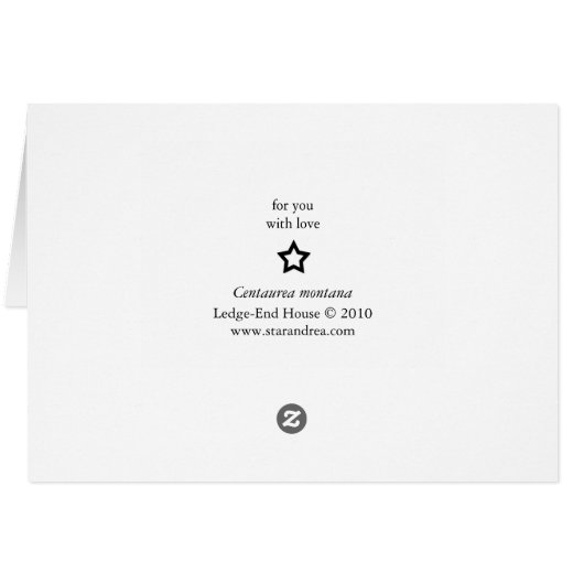 universal sun (Back Horizontal)