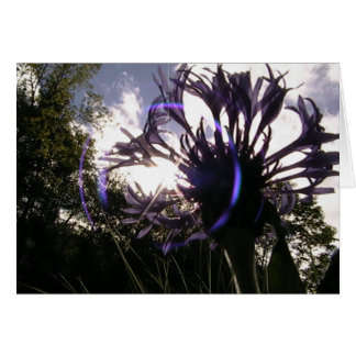 universal sun cards