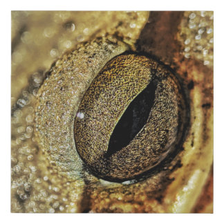 Universe in those eyes faux canvas print