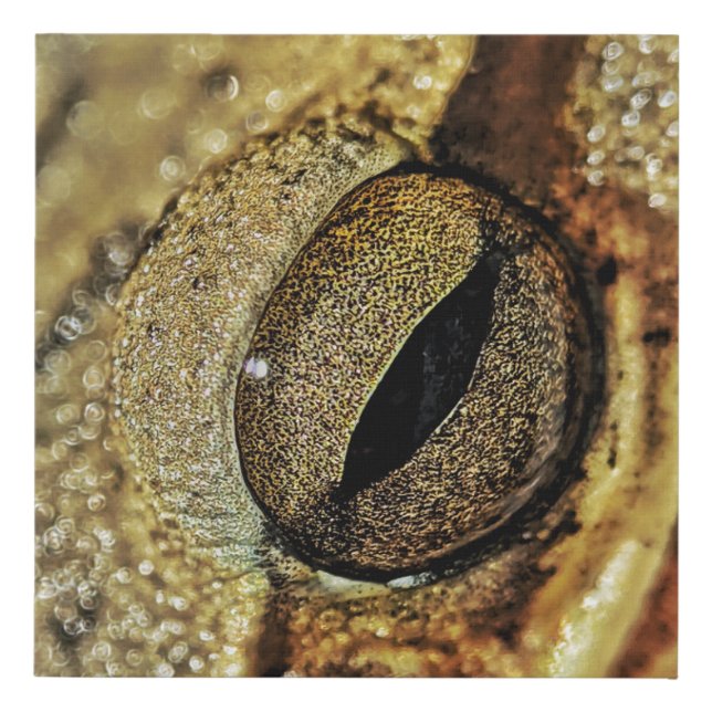 Universe in those eyes faux canvas print (Front)