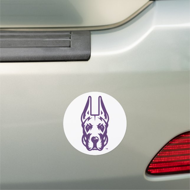 University at Albany Great Dane Mascot Head Car Magnet (In Situ)