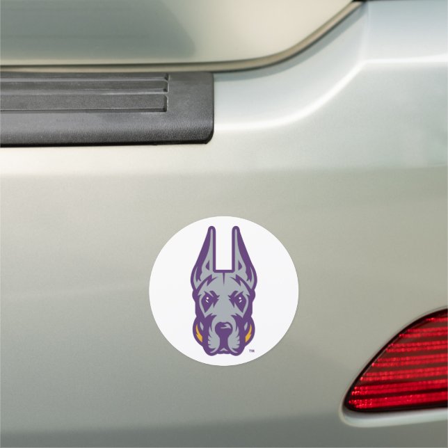University at Albany Great Dane Mascot Head Car Magnet (In Situ)
